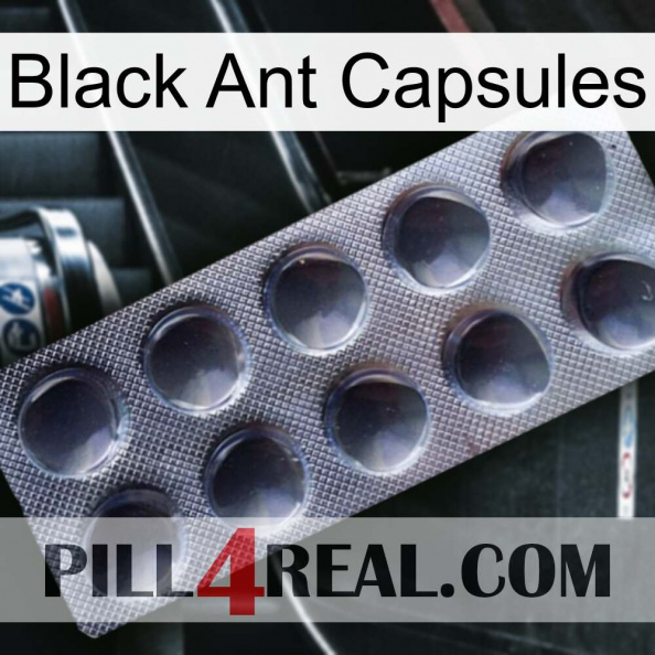 Black Ant Capsules 30.jpg